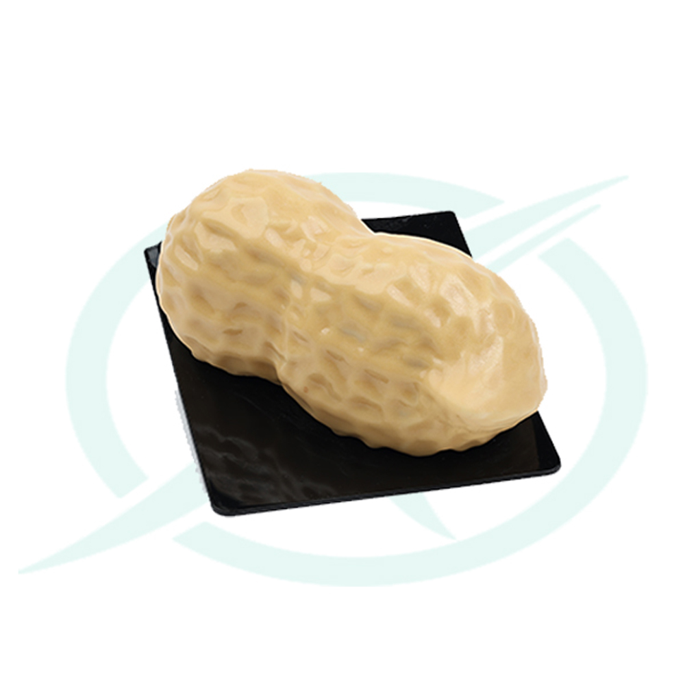 الفول السوداني